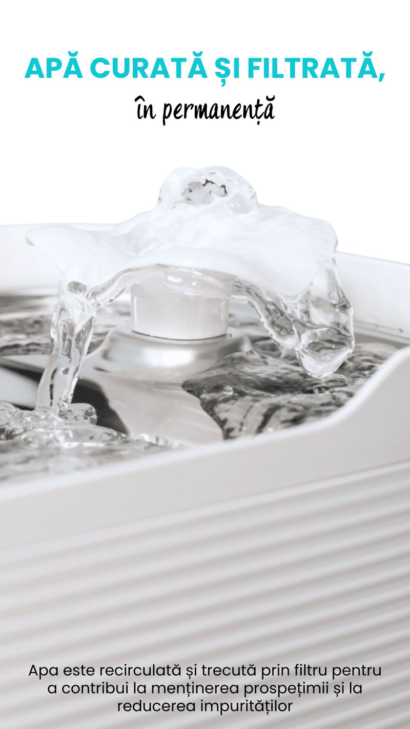 Fantana automata de apa SHAW Fresh pentru caini si pisici, tava din inox, capacitate 2.5L, pompa silentioasa, apa filtrata continuu