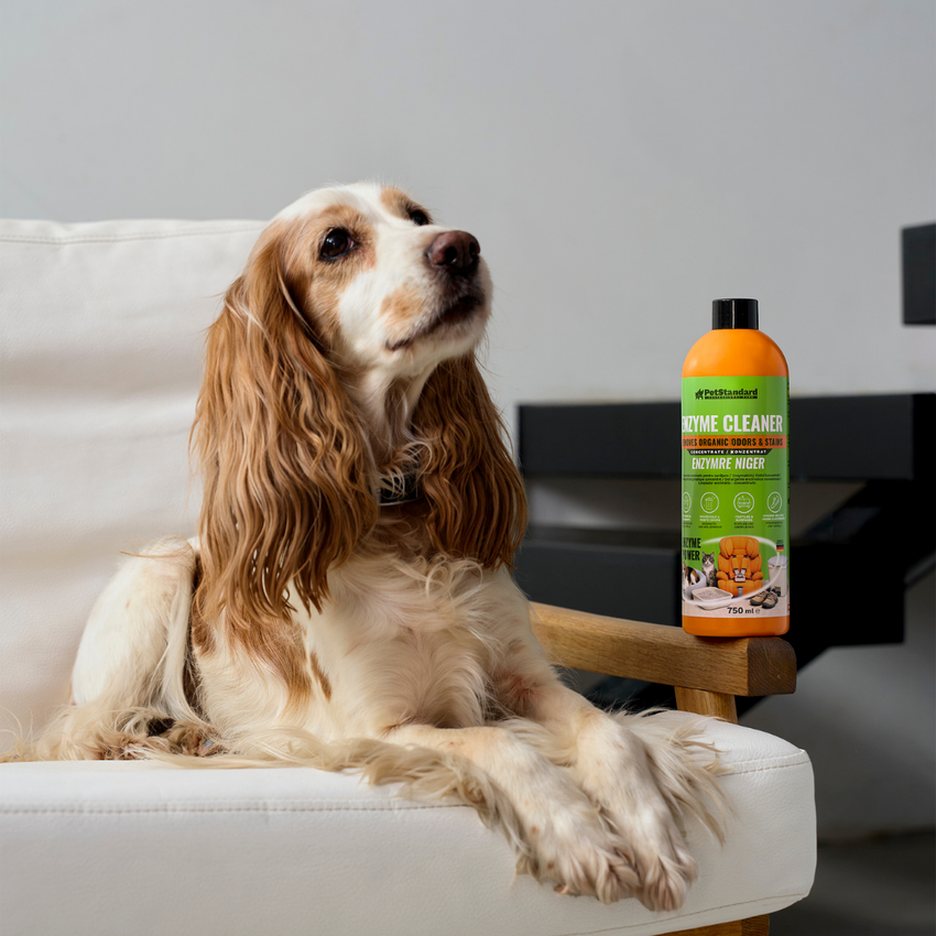 Solutie Profesionala Enzimatica Concentrata pentru Eliminarea Mirosurilor si Petelor PetStandard, 750 ml, Curatare Urina, Voma, Litiera, Textile si Suprafete
