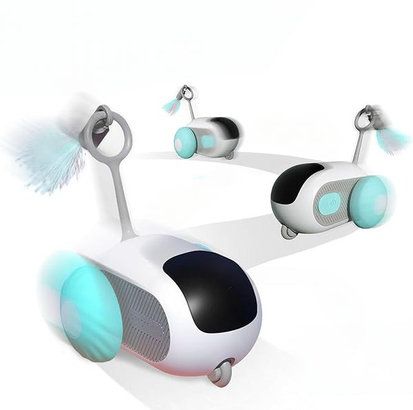 Jucarii si accesorii