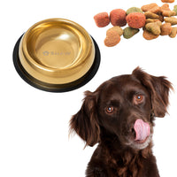 Castron din inox tip bol pentru caini si pisici SHAW, 26 cm, auriu