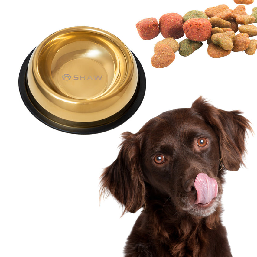 Castron din inox tip bol pentru caini si pisici SHAW, 26 cm, auriu