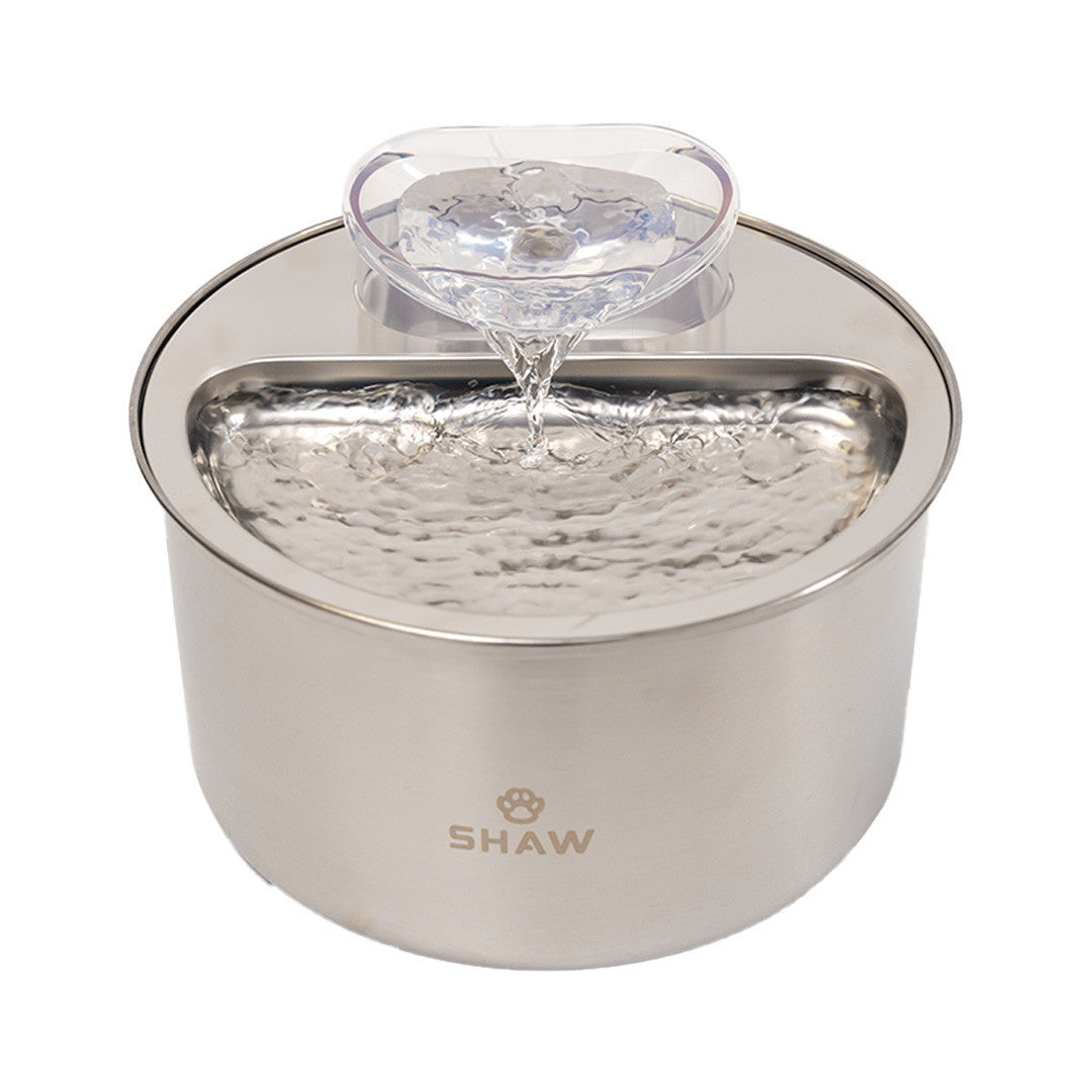 Fantana de apa SHAW® inox, filtrare apa, 4L, argintiu