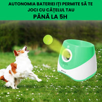 Aruncator automat de mingi tip lansator pentru caini, SHAW, incarcare USB, senzor miscare, 3 mingi incluse