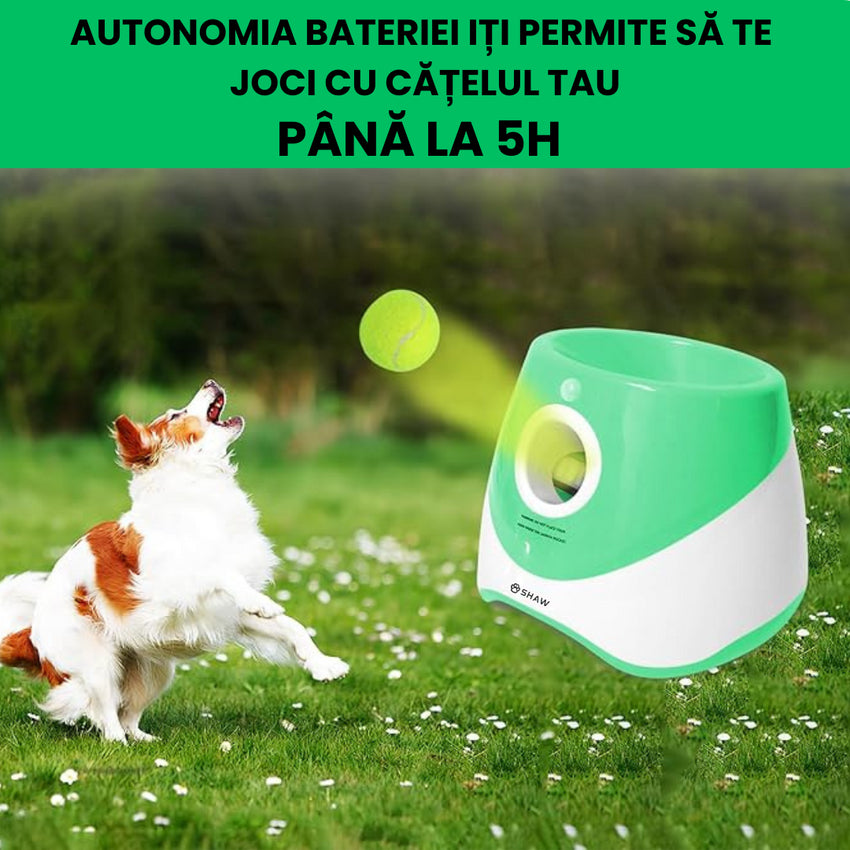 Aruncator automat de mingi tip lansator pentru caini, SHAW, incarcare USB, senzor miscare, 3 mingi incluse
