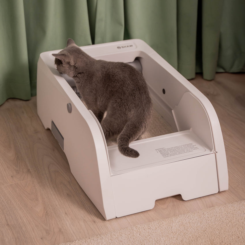 Litiera automata deschisa SHAW® pentru pisici de pana la 20kg, aplicatie mobila, camera video, sterilizare UV