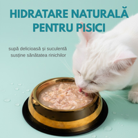 SET 12 buc Hrana umeda premium SHAW pentru pisici adulte si mofturoase cu piept de pui maruntit in supa, fara cereale, 80g