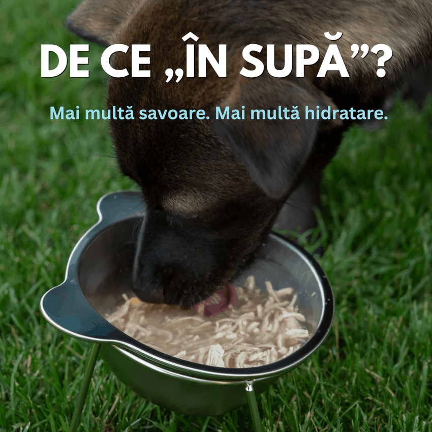 Hrană umedă premium pentru câini SHAW, Piept de Curcan Mărunțit în Supă, hrană completă, fără cereale, 200 g