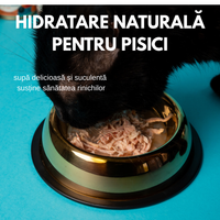 SET 12 - Hrana umeda premium SHAW pentru pisici adulte si mofturoase cu piept de curcan maruntit in supa, fara cereale