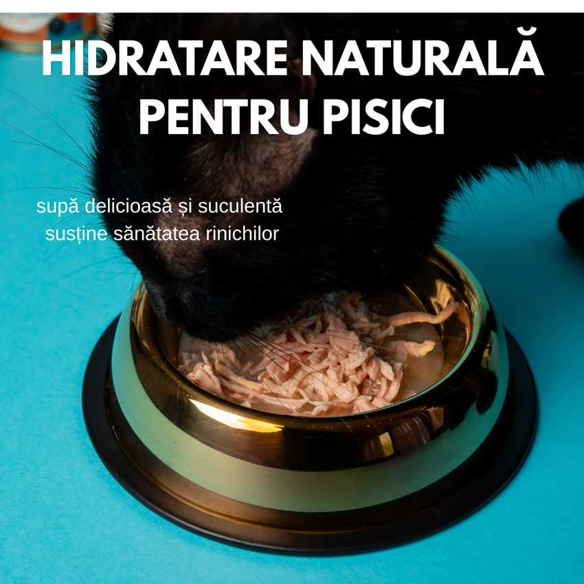 SET 12 - Hrana umeda premium SHAW pentru pisici adulte si mofturoase cu piept de curcan maruntit in supa, fara cereale