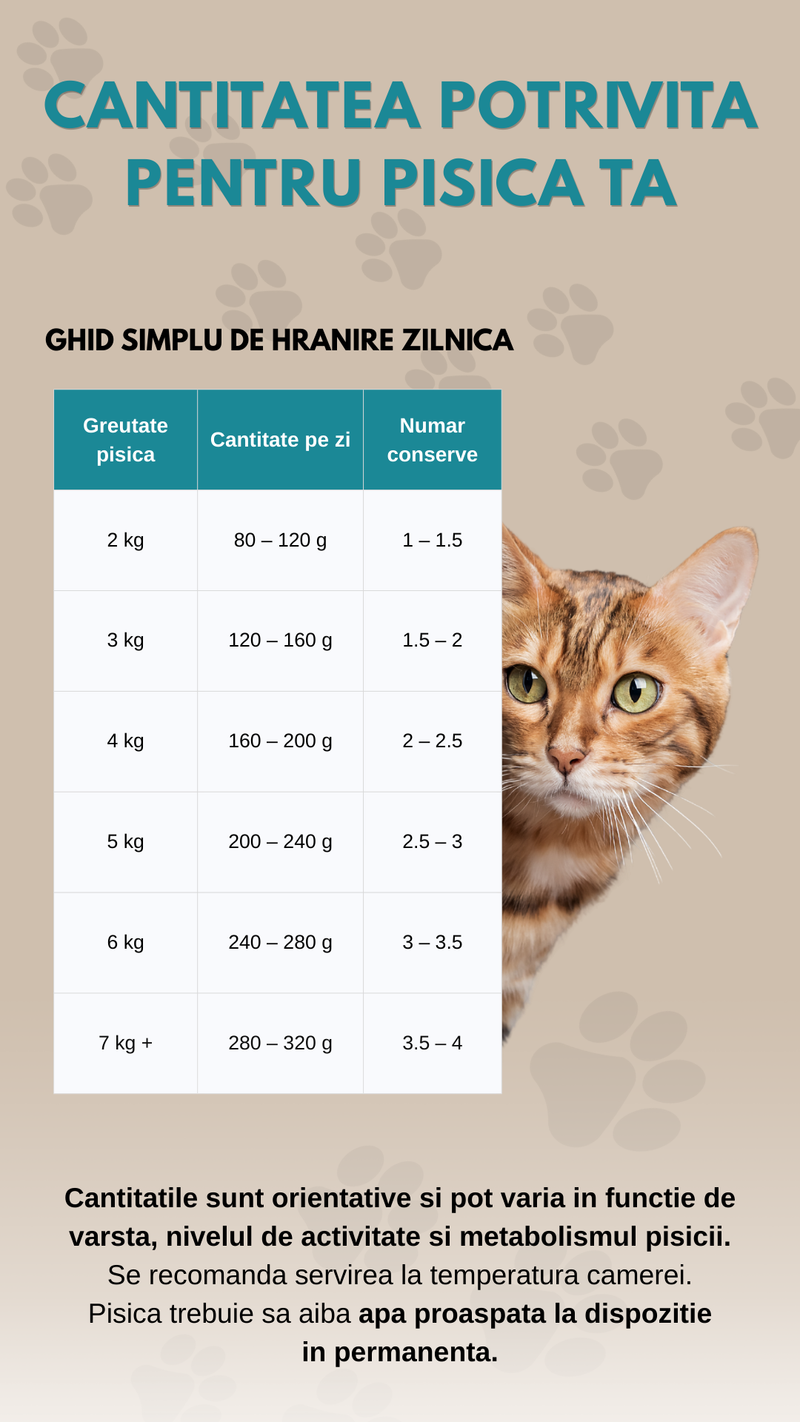 Hrana umeda premium SHAW pentru pisici adulte si mofturoase cu piept de pui maruntit in supa, fara cereale, 80g