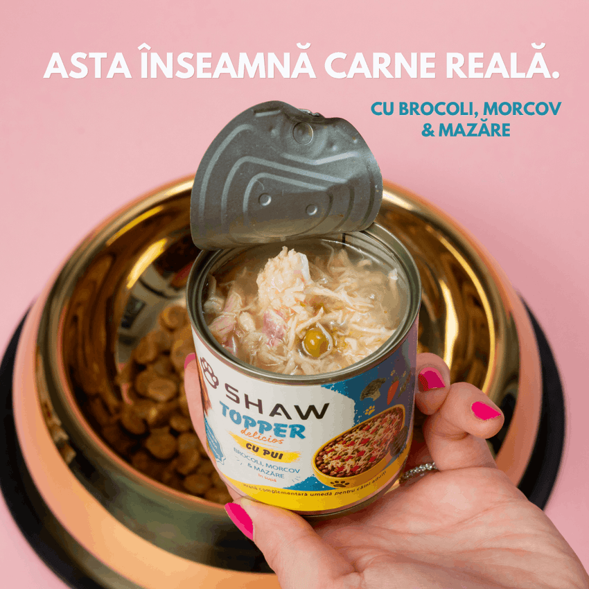 SET 12 - Topper premium pentru câini SHAW cu piept de pui, morcov, broccoli și mazăre în supă, hrană umedă complementară, 170 g