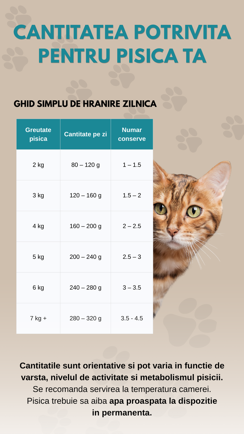 SET 12 buc Hrana umeda premium SHAW pentru pisici adulte si mofturoase cu cuburi de somon in supa, fara cereale, 80g