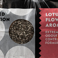 Set 2 x Nisip litiera pisici CAT LEADER 5L, bentonita cu parfum discret de floare de lotus, aglomerare rapida