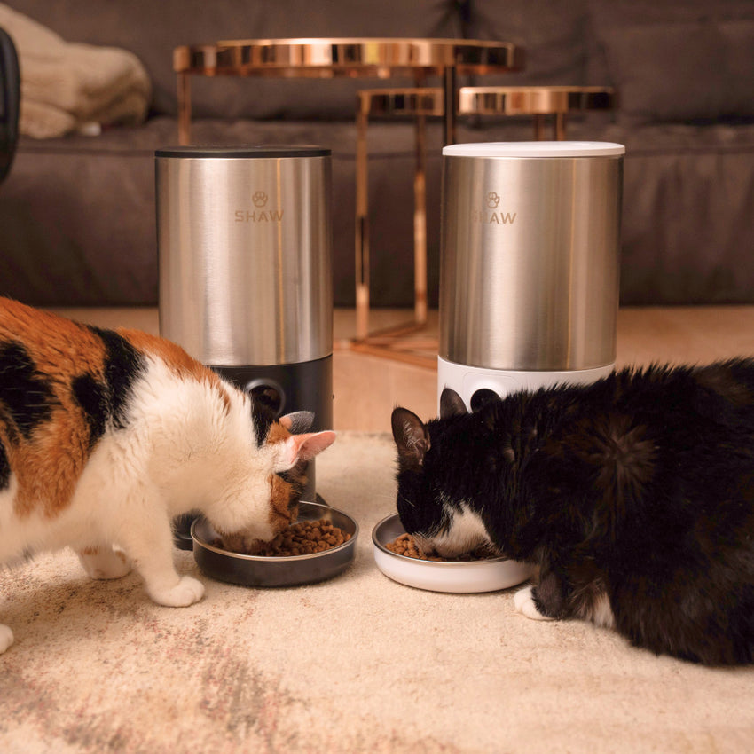 Hranitor automat Smart SHAW® PRO V3 pentru caini si pisici, Aplicatie mobila, Camera video Night Vision, Programare hrana, Alb