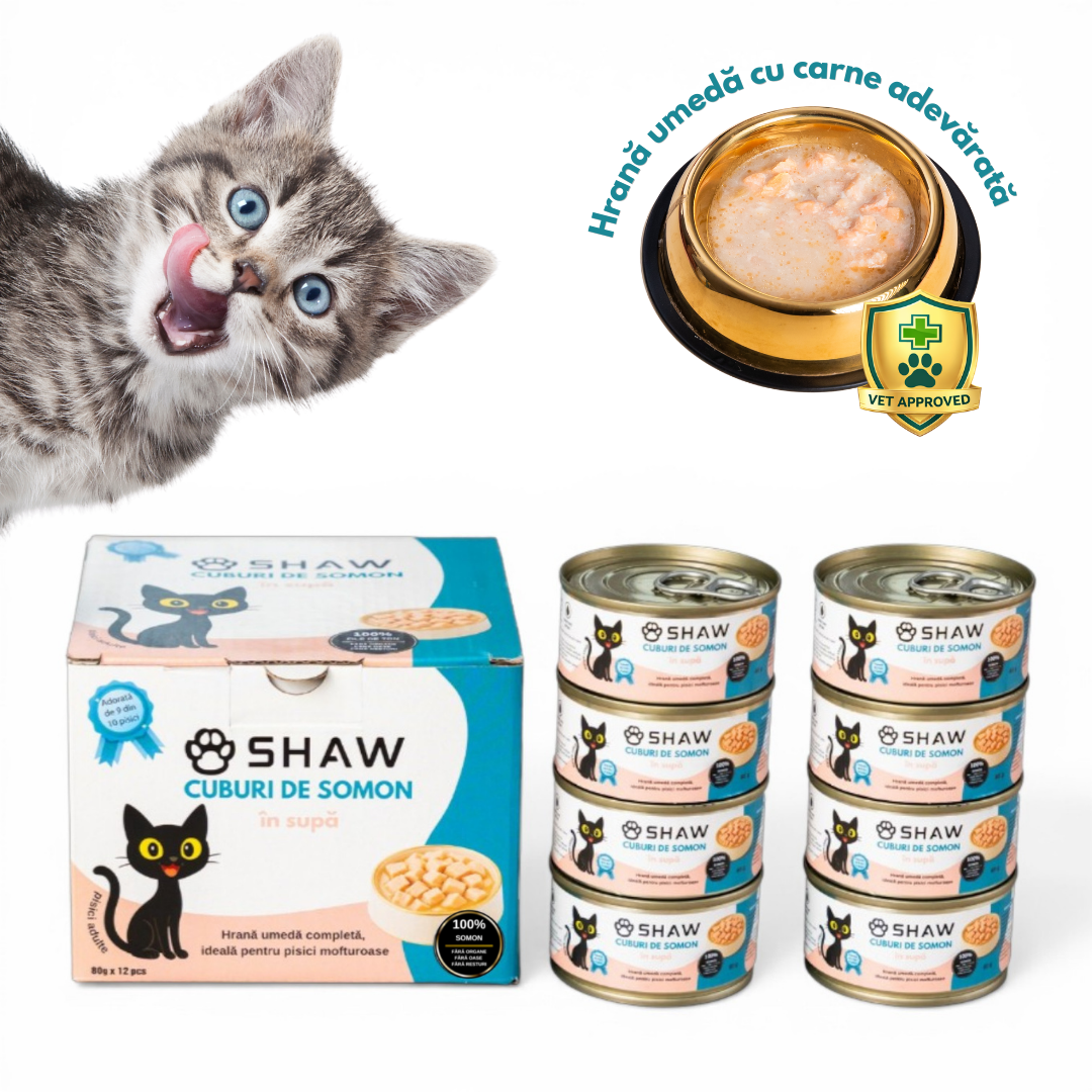 SET 12 buc Hrana umeda premium SHAW pentru pisici adulte si mofturoase cu cuburi de somon in supa, fara cereale, 80g