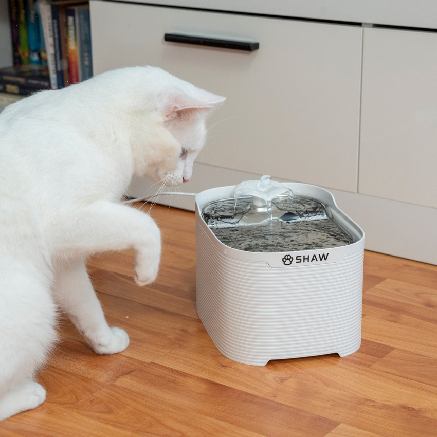 Fantana automata de apa SHAW Fresh pentru caini si pisici, tava din inox, capacitate 2.5L, pompa silentioasa, apa filtrata continuu