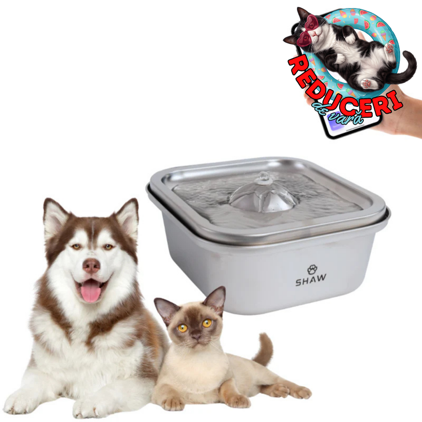 Fantana de apa smart SHAW® inox, aplicatie mobila, filtrare apa, 4L, argintiu