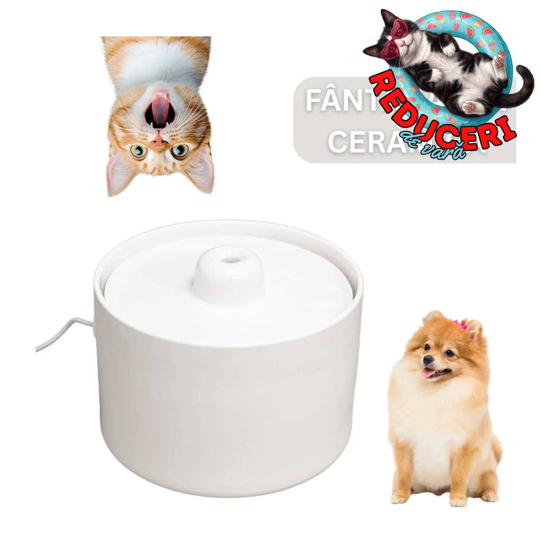 Fantana de apa SHAW® din ceramica, silentioasa, sistem filtrare, 2L