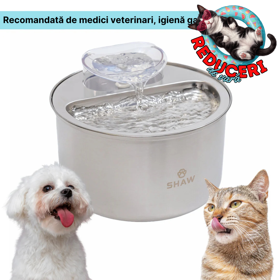 Fantana de apa SHAW® inox, filtrare apa, 4L, argintiu