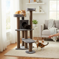Ansamblu de joaca si catarat pentru pisici cu sisal, SHAW, MDF, maro, model Roma