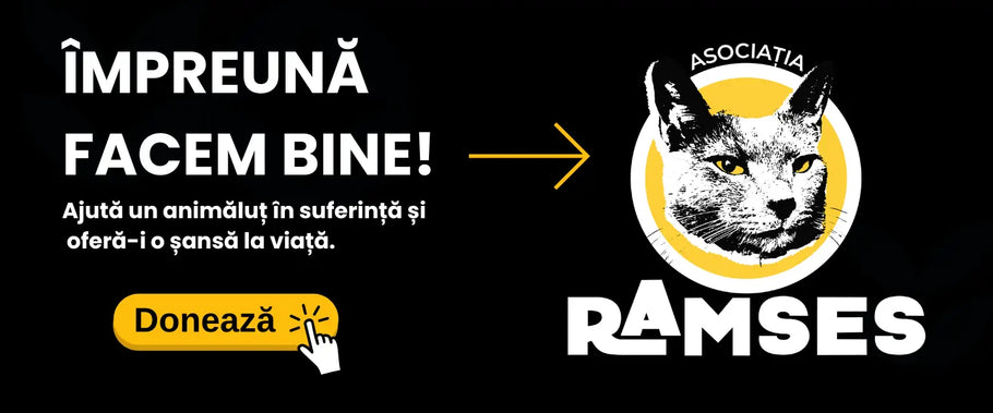 asociatia-ramses-shaw-dsk