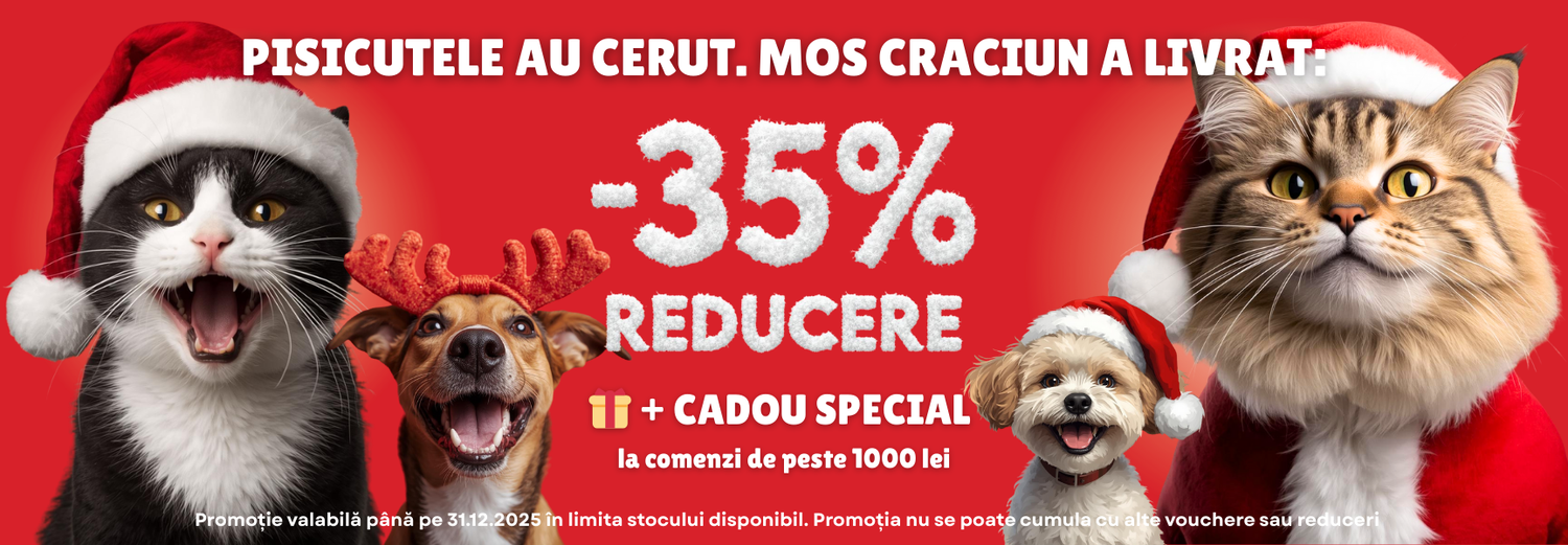 craciun-2025-shaw-dsk