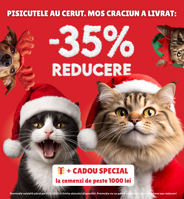 craciun-2025-shaw-mob