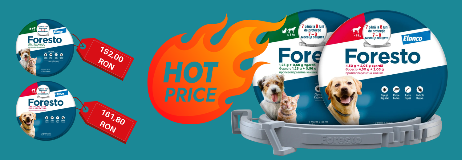 foresto-la-super-pret-dsk