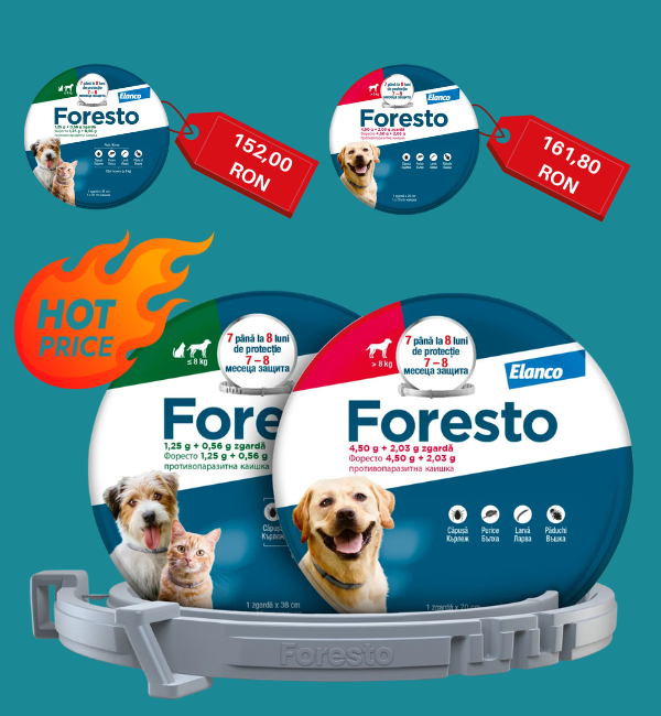 foresto-la-super-pret-mob