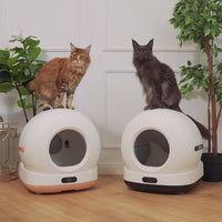 Litiera automata smart SHAW® Ultra View pentru pisici, camera video, auto-curatare, sterilizare UV, odorizant, aplicatie mobila