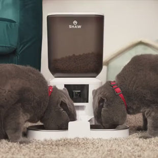 Hranitor automat smart SHAW® pentru caini si pisici, aplicatie mobila, 7L, programare hranire, camera reglabila, 2 boluri, negru