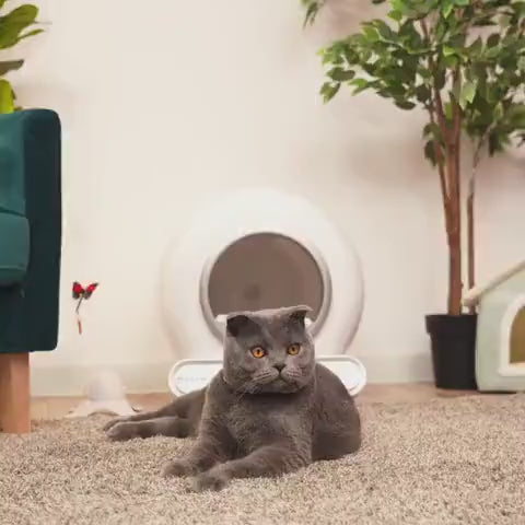 Fantana dispenser de apa SHAW® Capacitate 3L, pentru pisici si caini