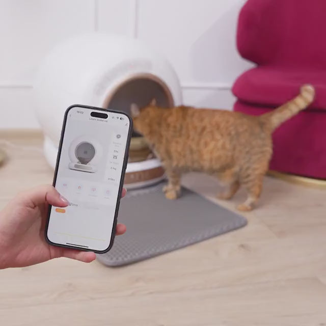 Litiera automata smart SHAW® V4 pentru pisici, auto-curatare, eliminare mirosuri prin ionizare, aplicatie mobila, 9L