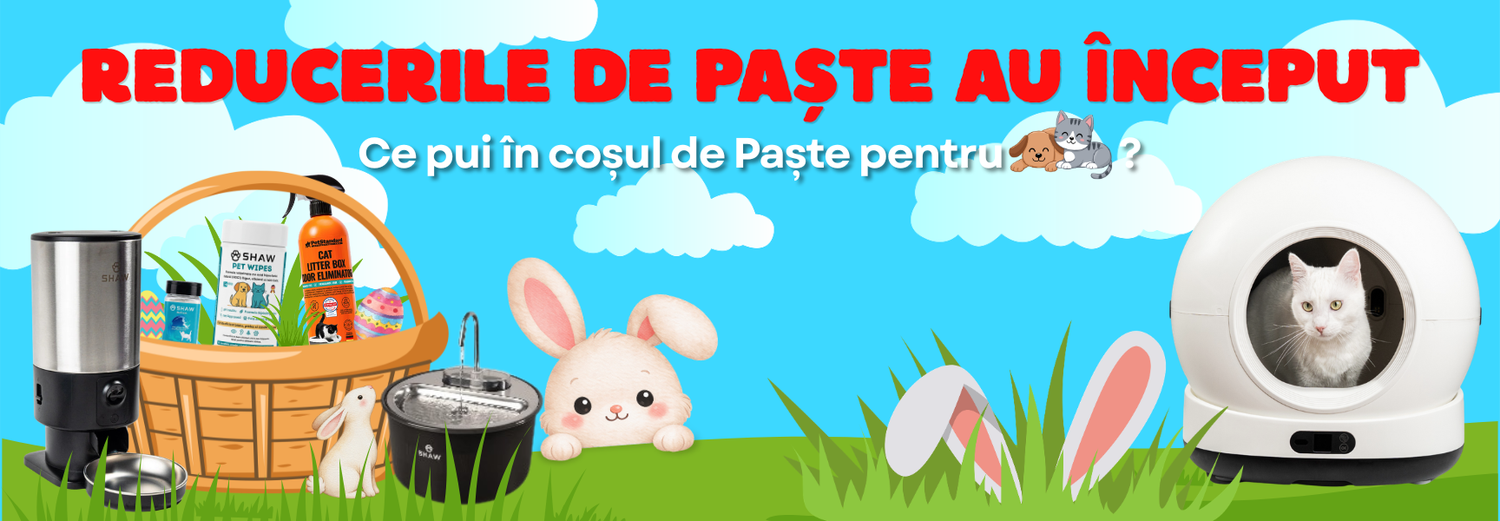 reduceri-paste-shaw-dsk