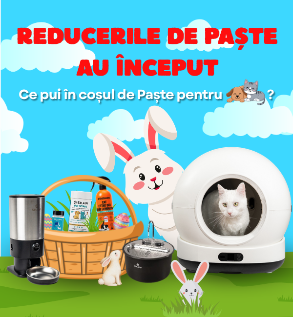 reduceri-paste-shaw-mob