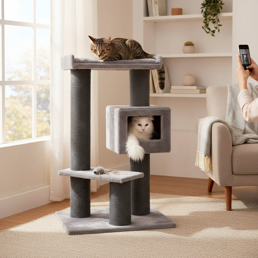 Ansamblu de joaca si catarat pentru pisici cu sisal, SHAW, MDF, gri, model Toulouse