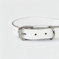 Zgarda caini din piele naturala, lata pentru protectia gatului, marime M, ajustabila 36–44 cm, alb