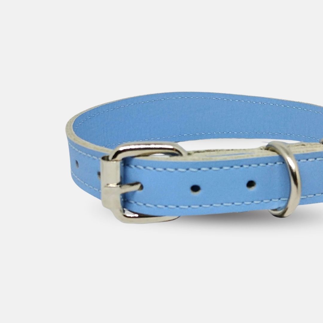 Zgarda caini din piele naturala, lata pentru protectia gatului, marime S, ajustabila 26–34 cm, albastru