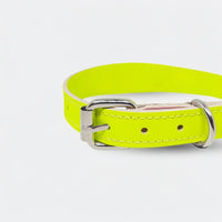 Zgarda caini din piele naturala, lata pentru protectia gatului, marime M, ajustabila 36–44 cm, galben neon