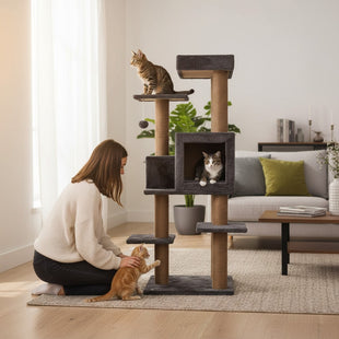 Ansamblu de joaca si catarat pentru pisici cu sisal, SHAW, MDF, maro, model Zurih