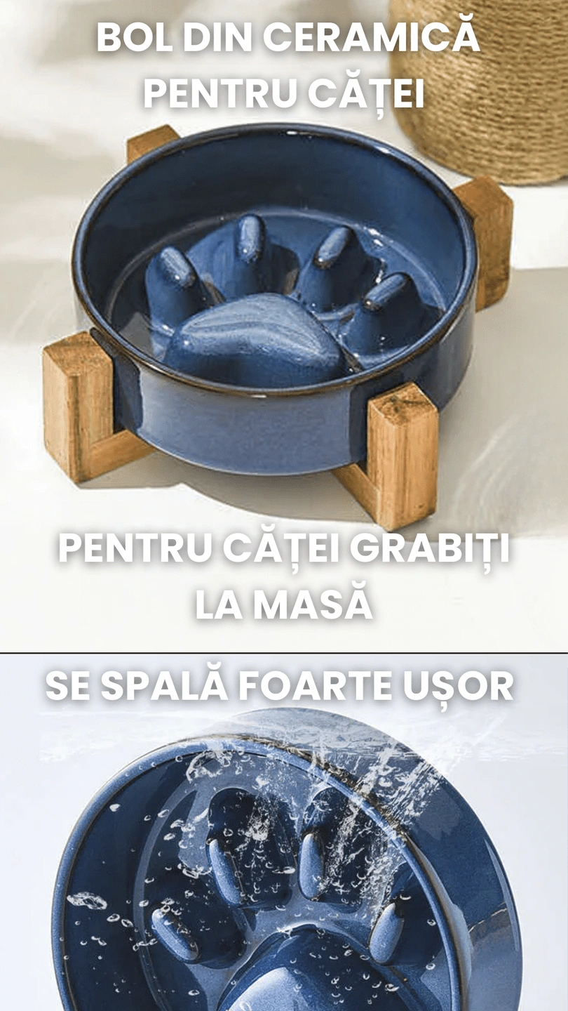 Bol din ceramica SHAW